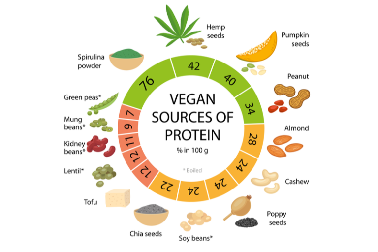 Top 5 Vegan Protein Sources